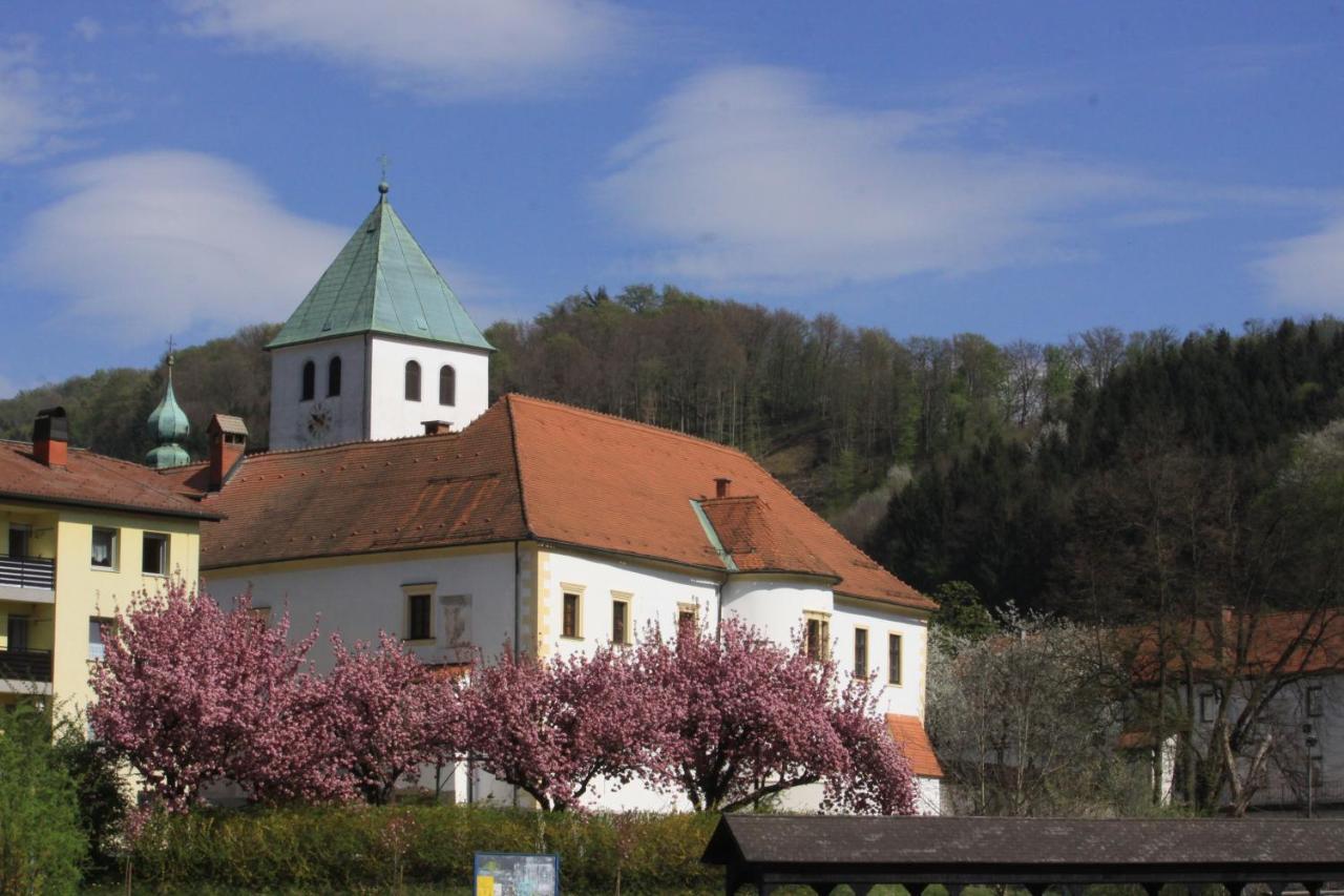 Hotel Na Kopitarjevi Laško Esterno foto