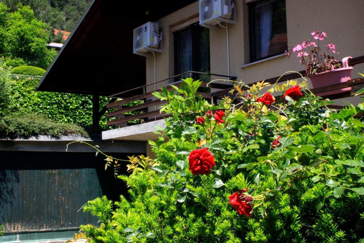 Hotel Na Kopitarjevi Laško Esterno foto