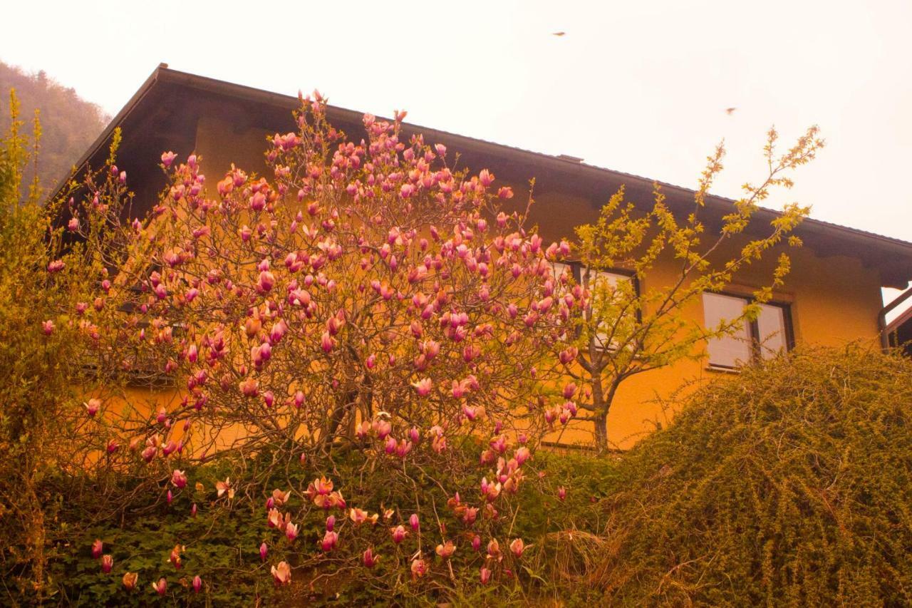Hotel Na Kopitarjevi Laško Esterno foto