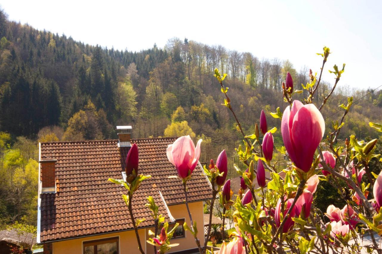 Hotel Na Kopitarjevi Laško Esterno foto