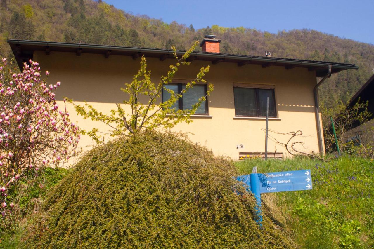 Hotel Na Kopitarjevi Laško Esterno foto
